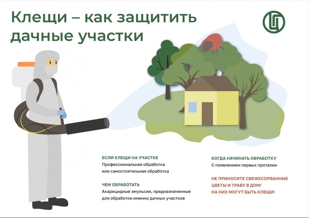 kleshchi-kak_zashchitit_dachnye_uchastki.jpg