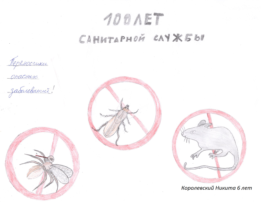 korolevskiy_nikita.png