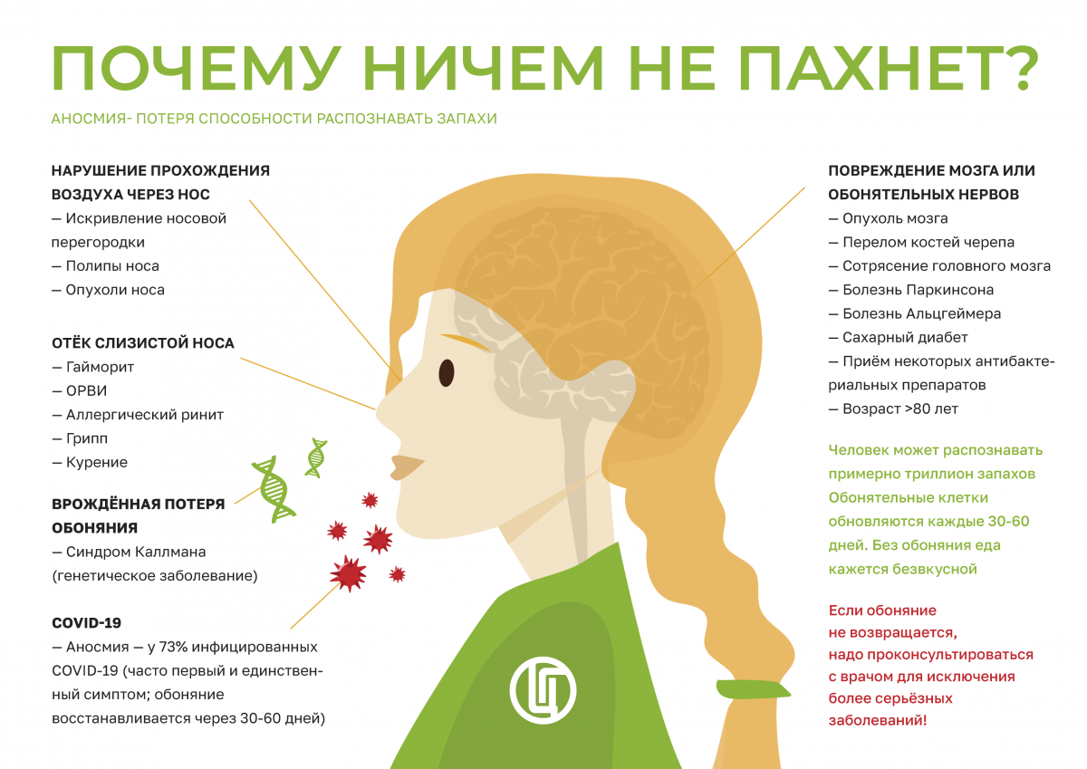 pochemu_nichem_ne_pahnet.png