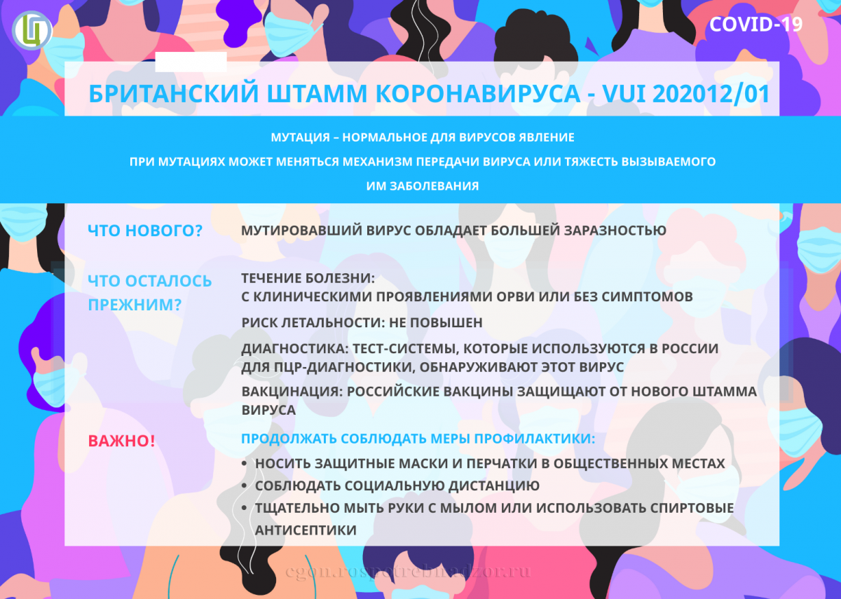 britanskiy_shtamm.png