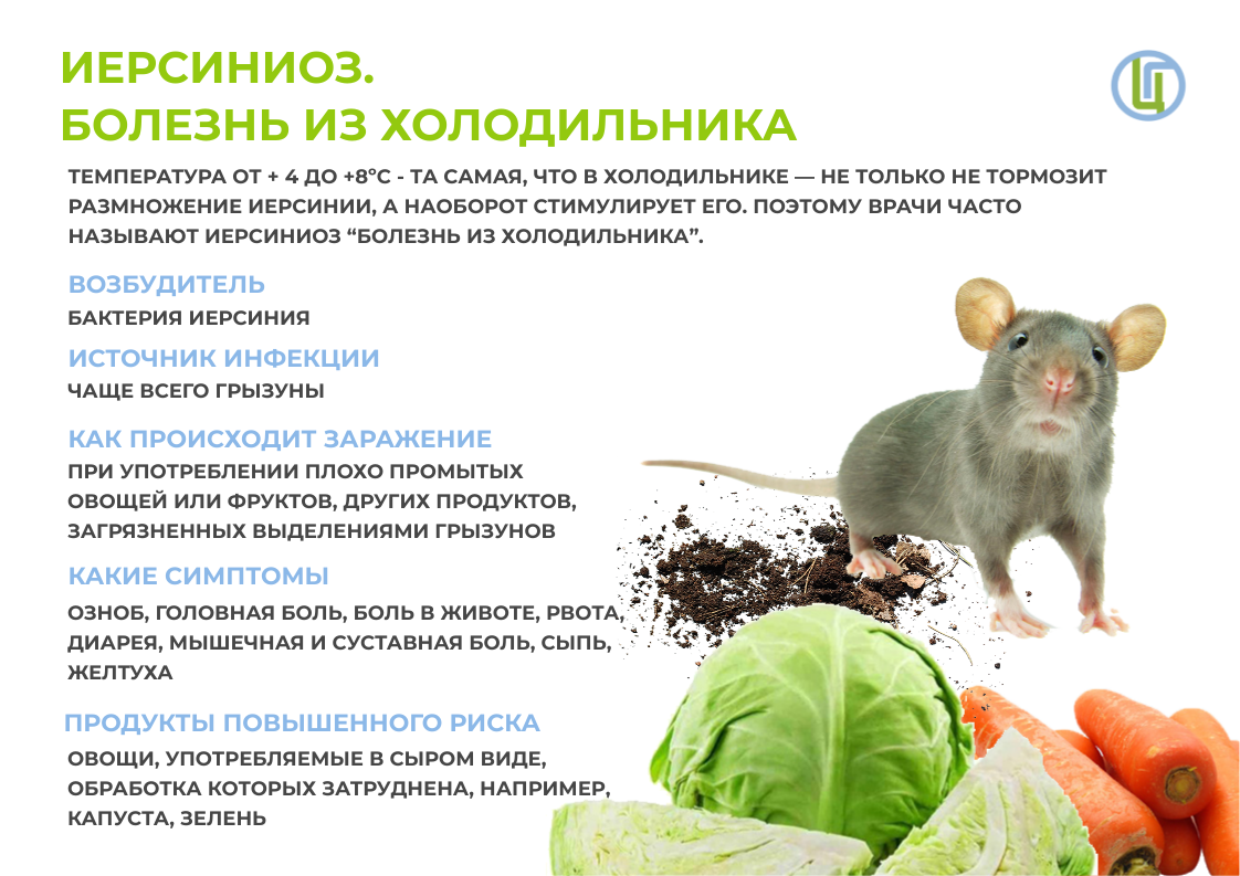 iersinioz._bolezn_iz_holodilnika.png