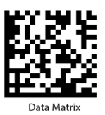 7777777777.jpg